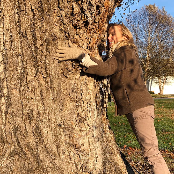 Environmental Art: Moments in time